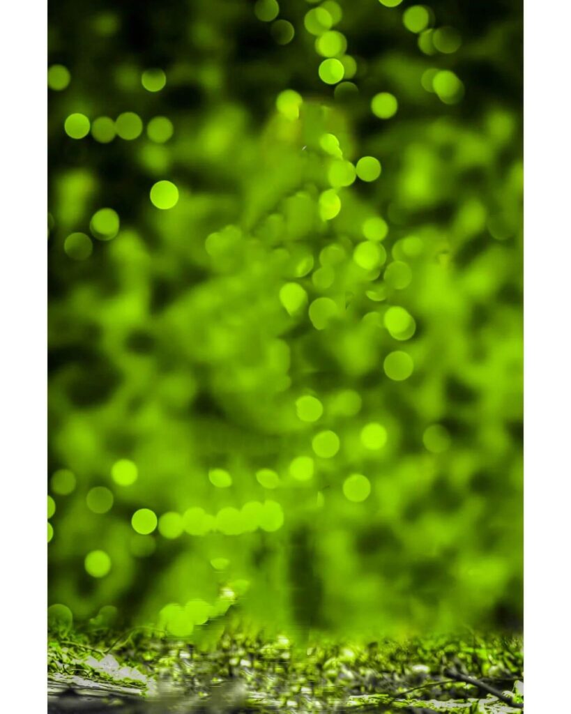 Bokeh snapseed editing background download hd