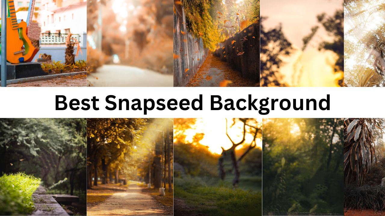 Snapseed Background