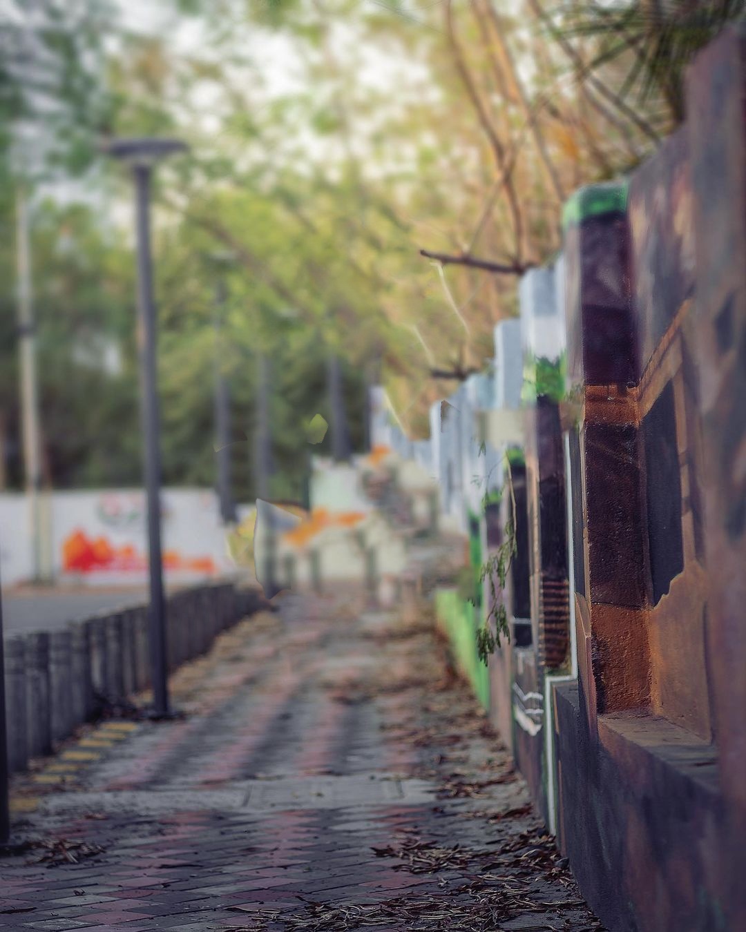 Snapseed background download hd png