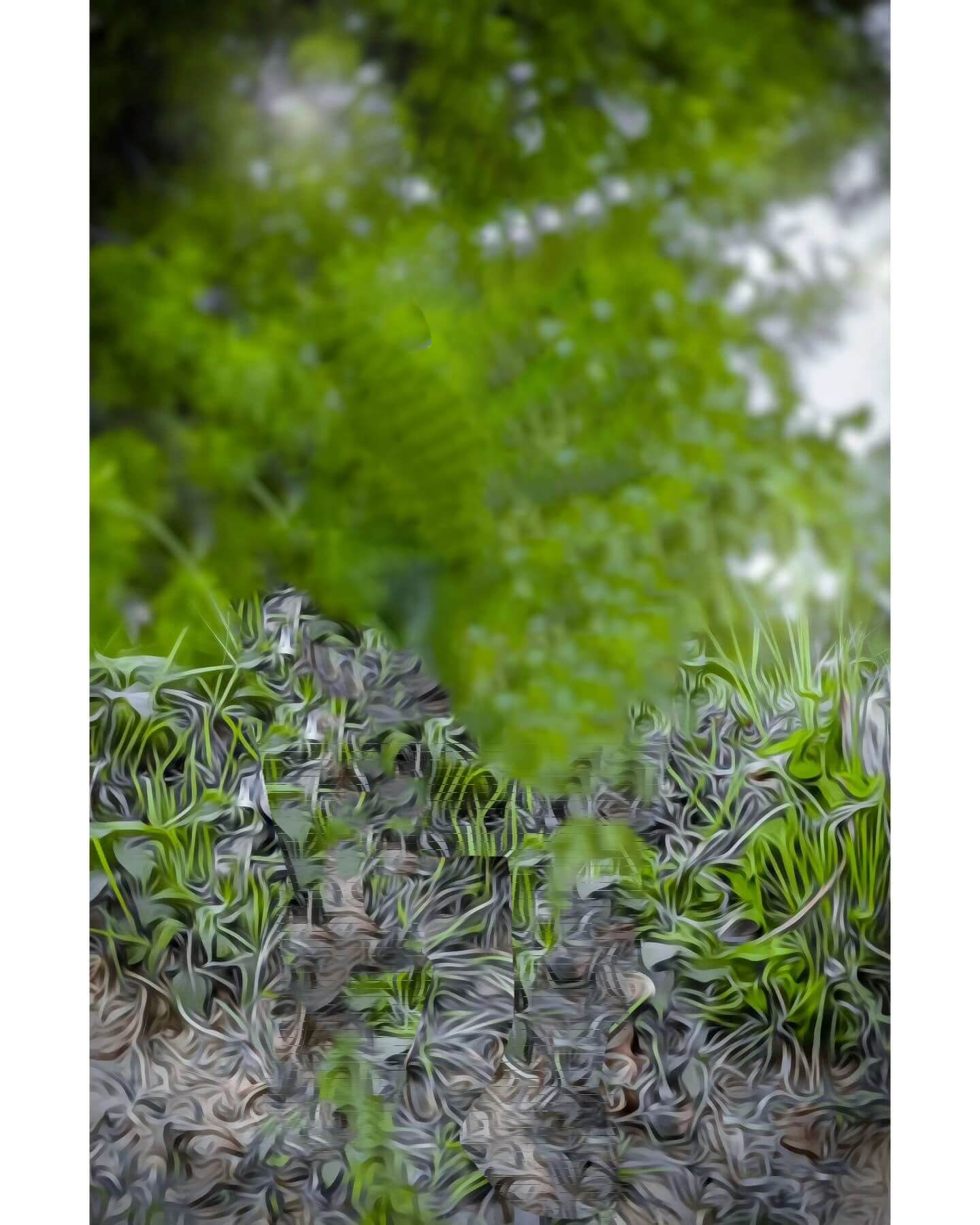 cb background 1080p download full hd