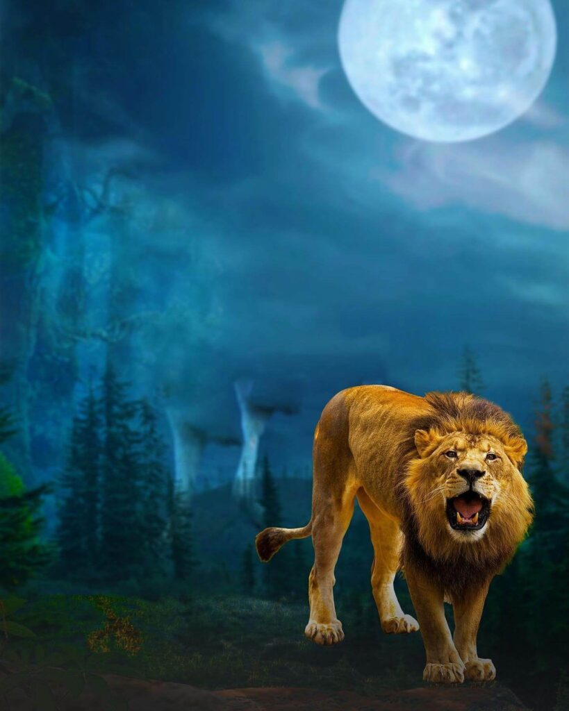 lion instagram editing background image