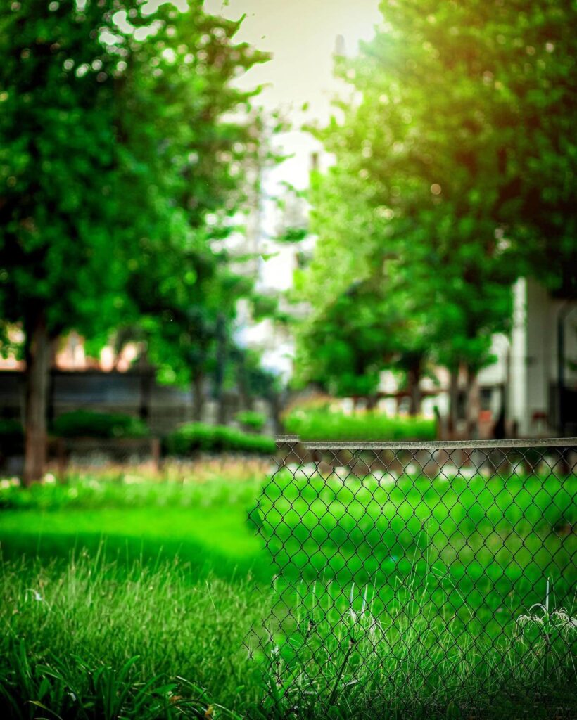 nature Blur Cb Background HD For Photoshop Editing