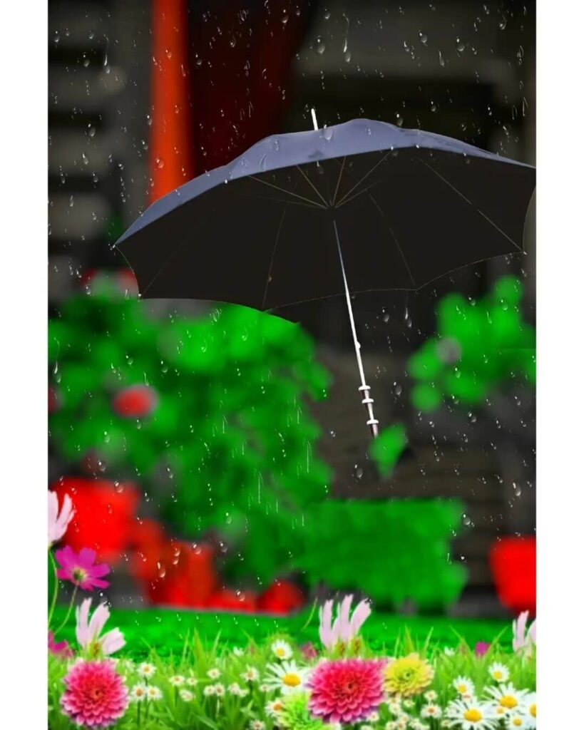 rain umbrella cb editing background images download