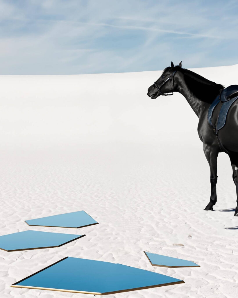 vijay mahar black horse background