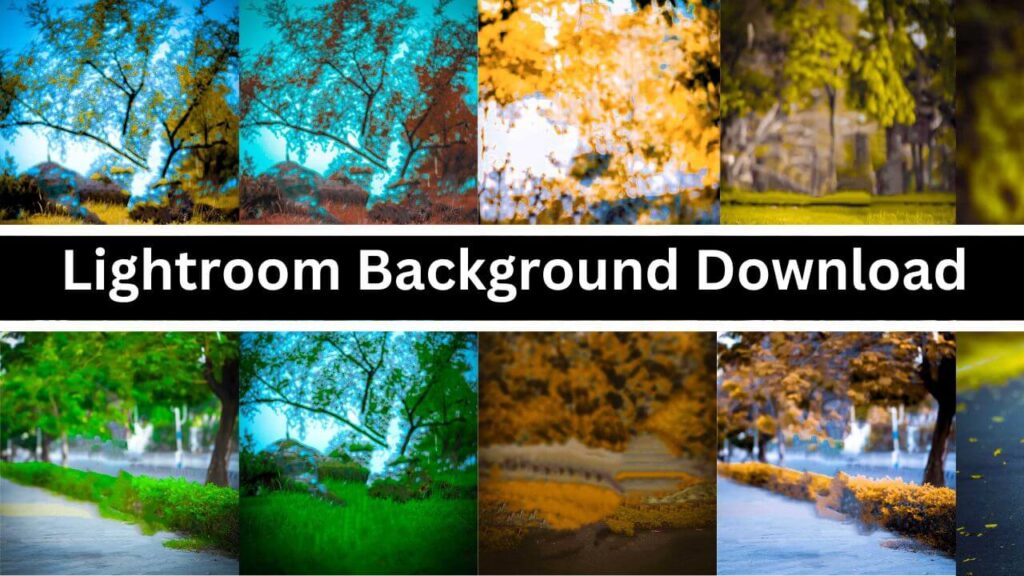 Lightroom Background