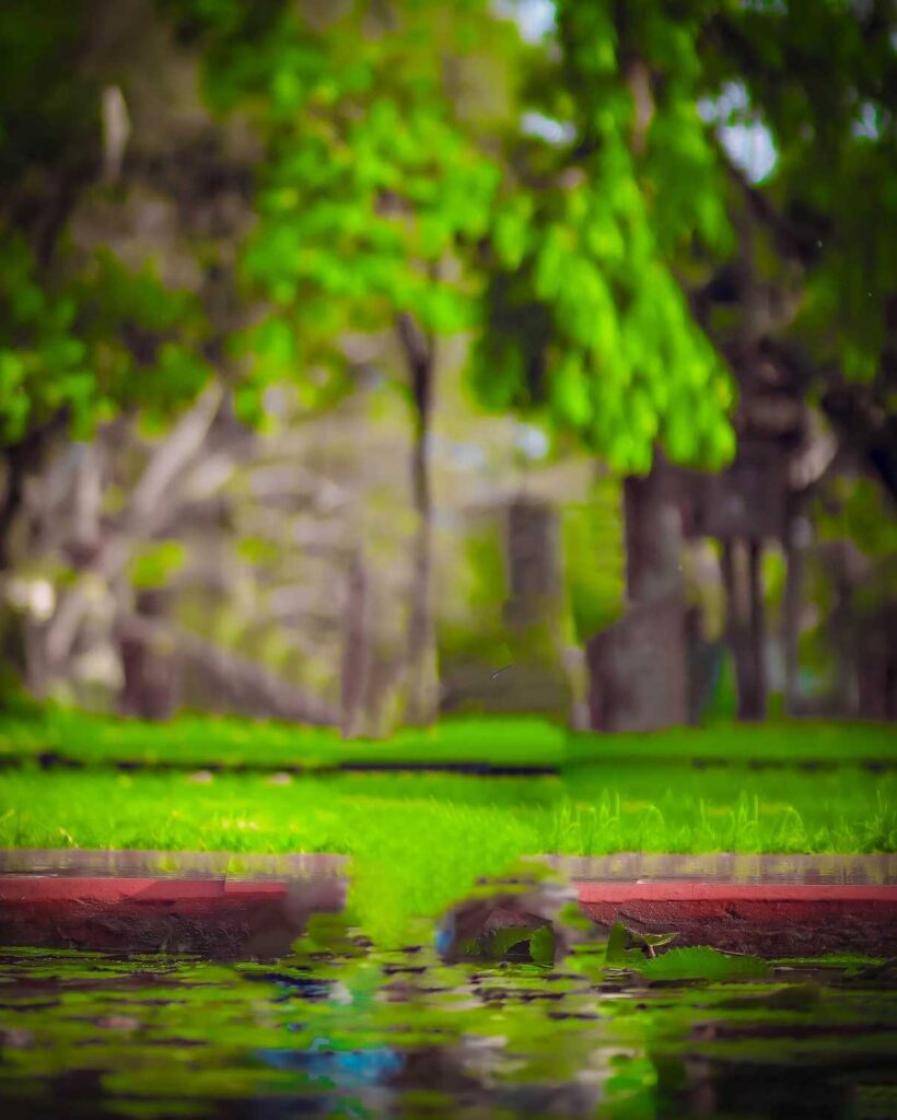 green color lightroom editing background