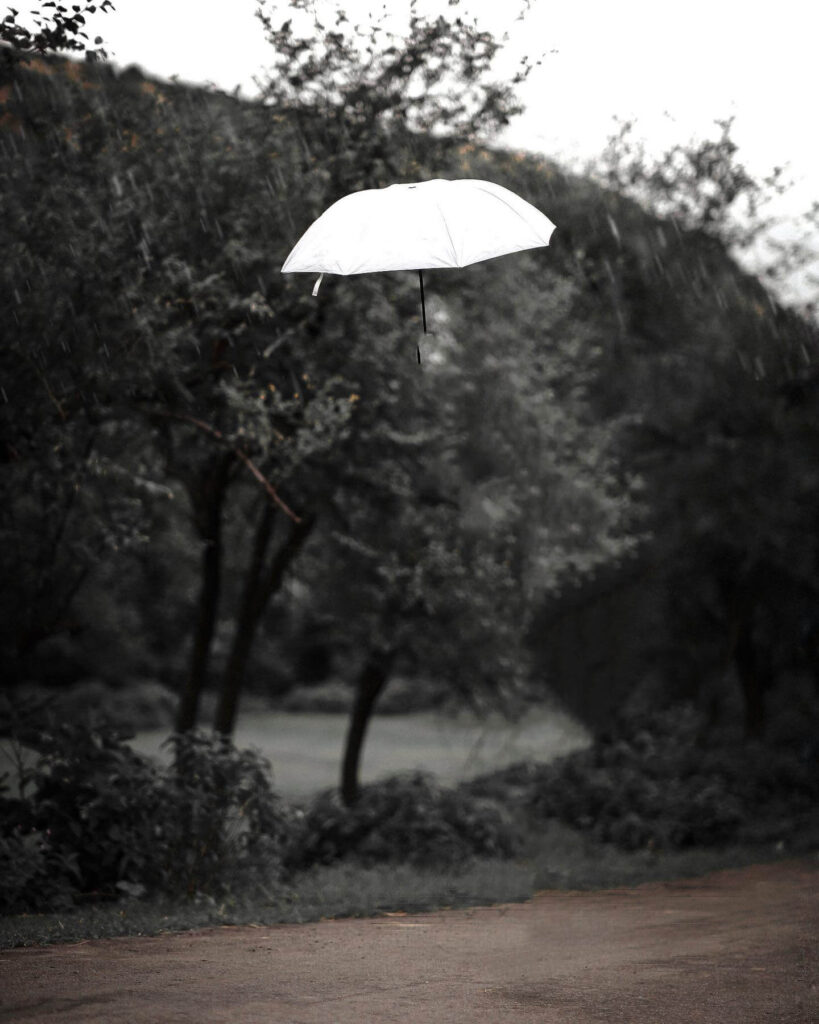 white umbrella background full hd