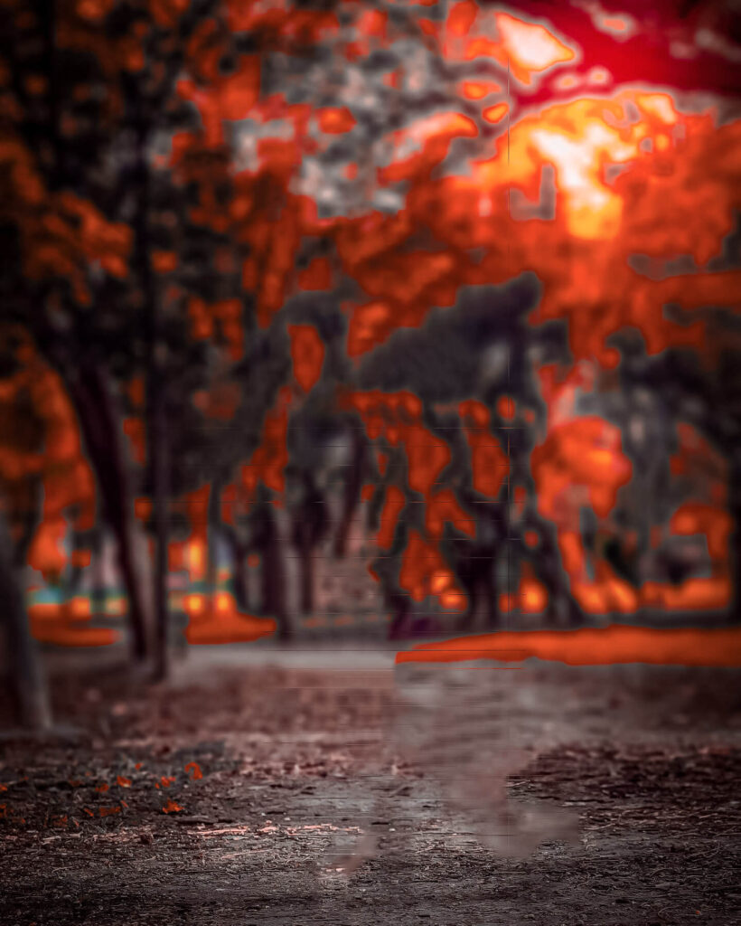 Cb Blur Forest Background Download