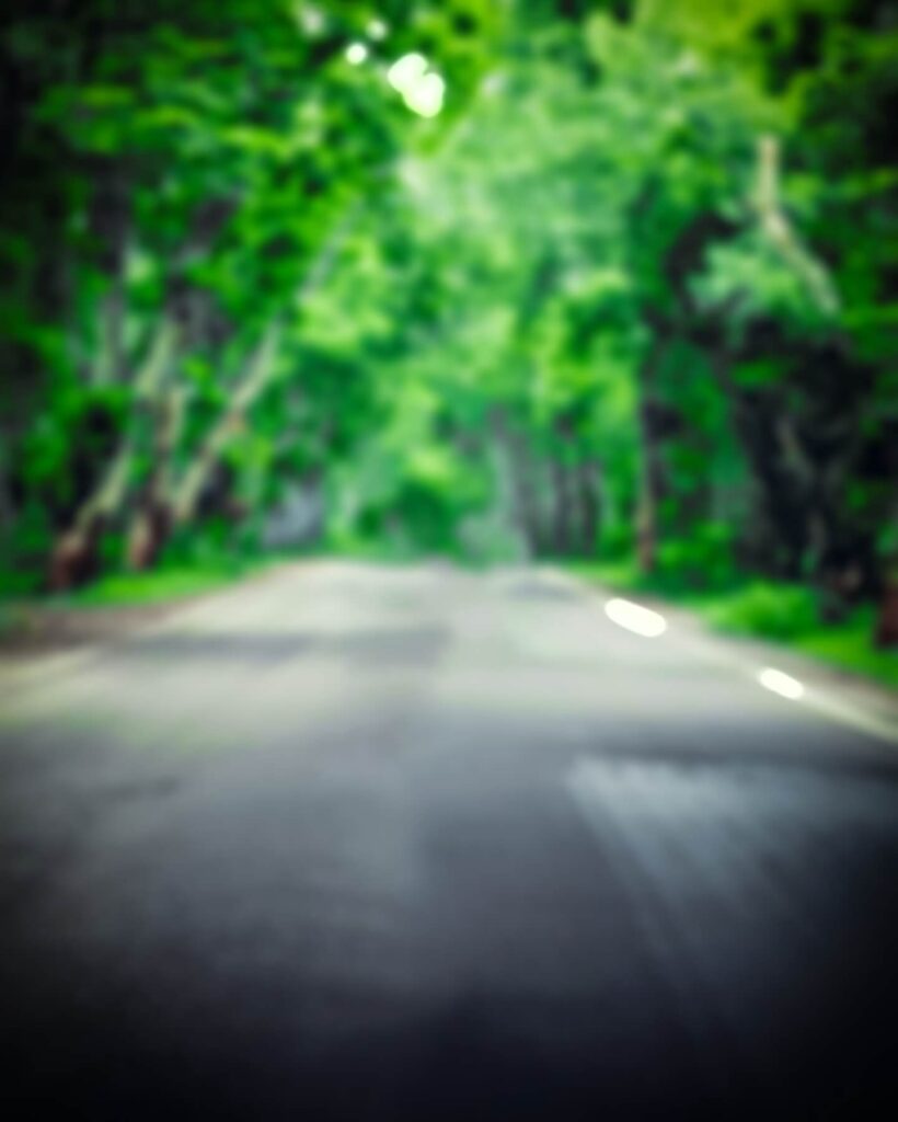 lightroom background blur image