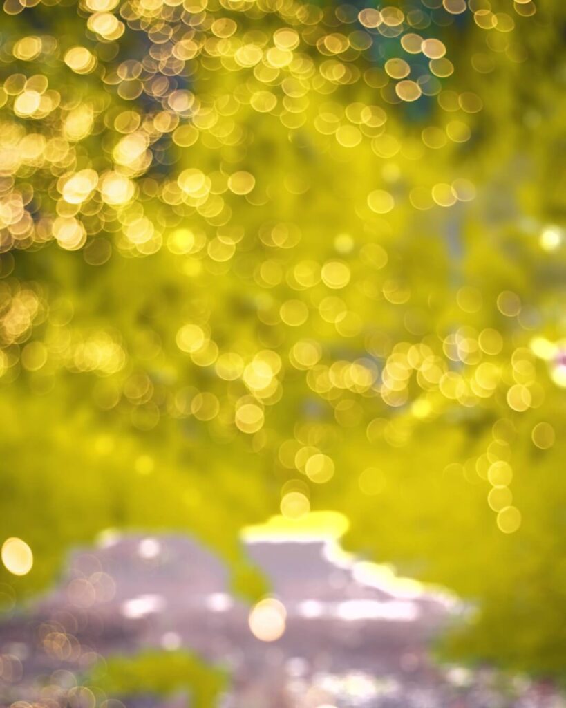 lightroom bokeh background hd