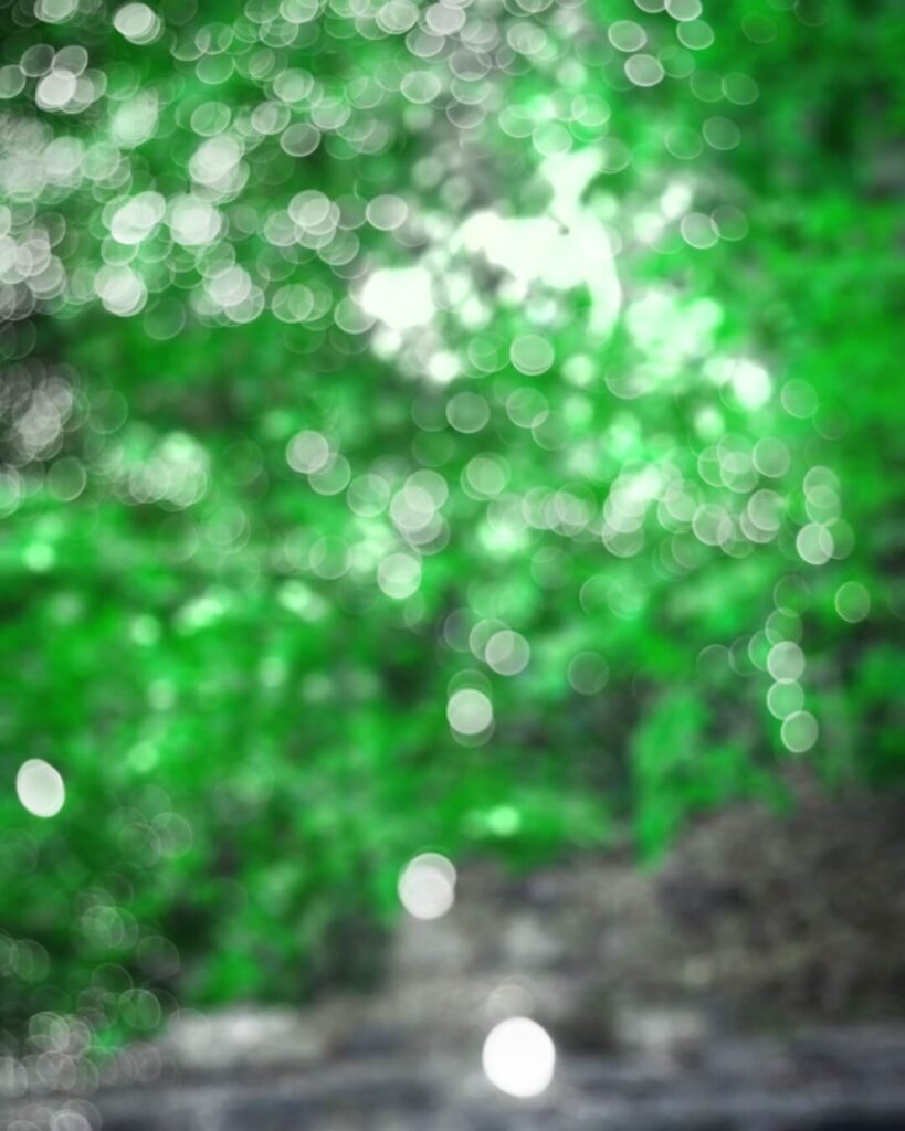 lightroom bokeh background new cb