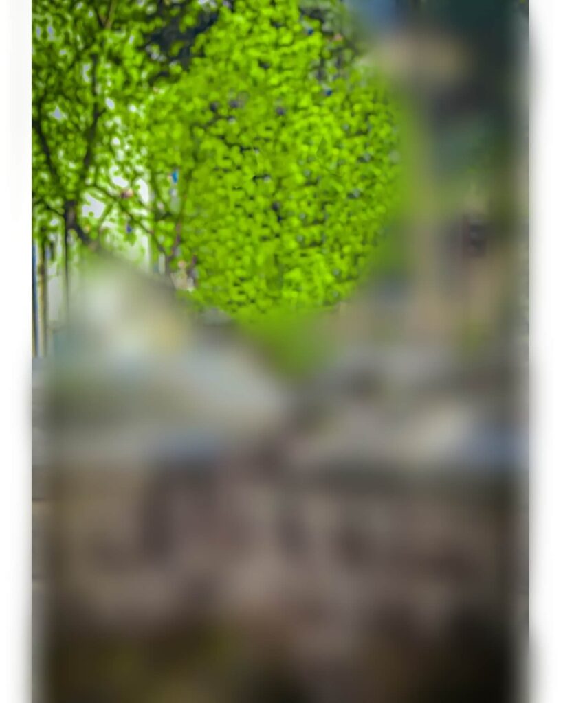 blur background photo editing