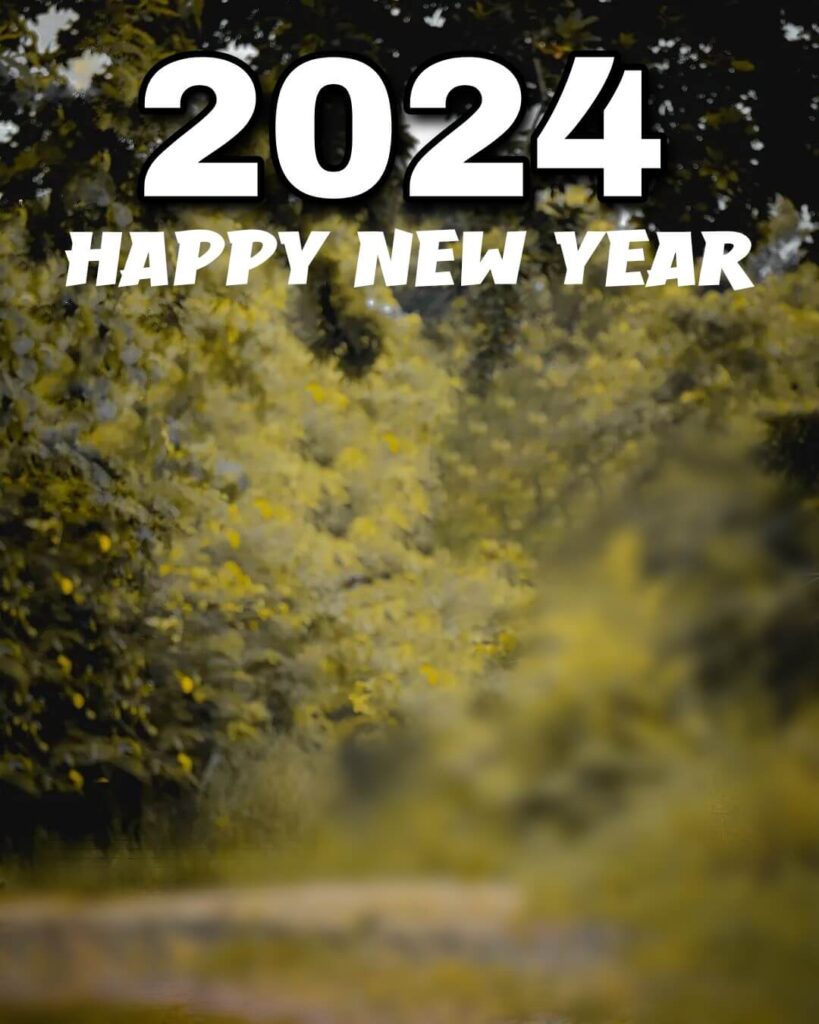 2024 Happy New Year Latest Editing Background hd