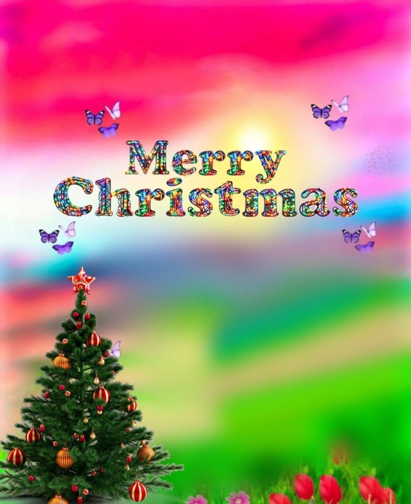 Christmas Tree New HD Background For CB Editing