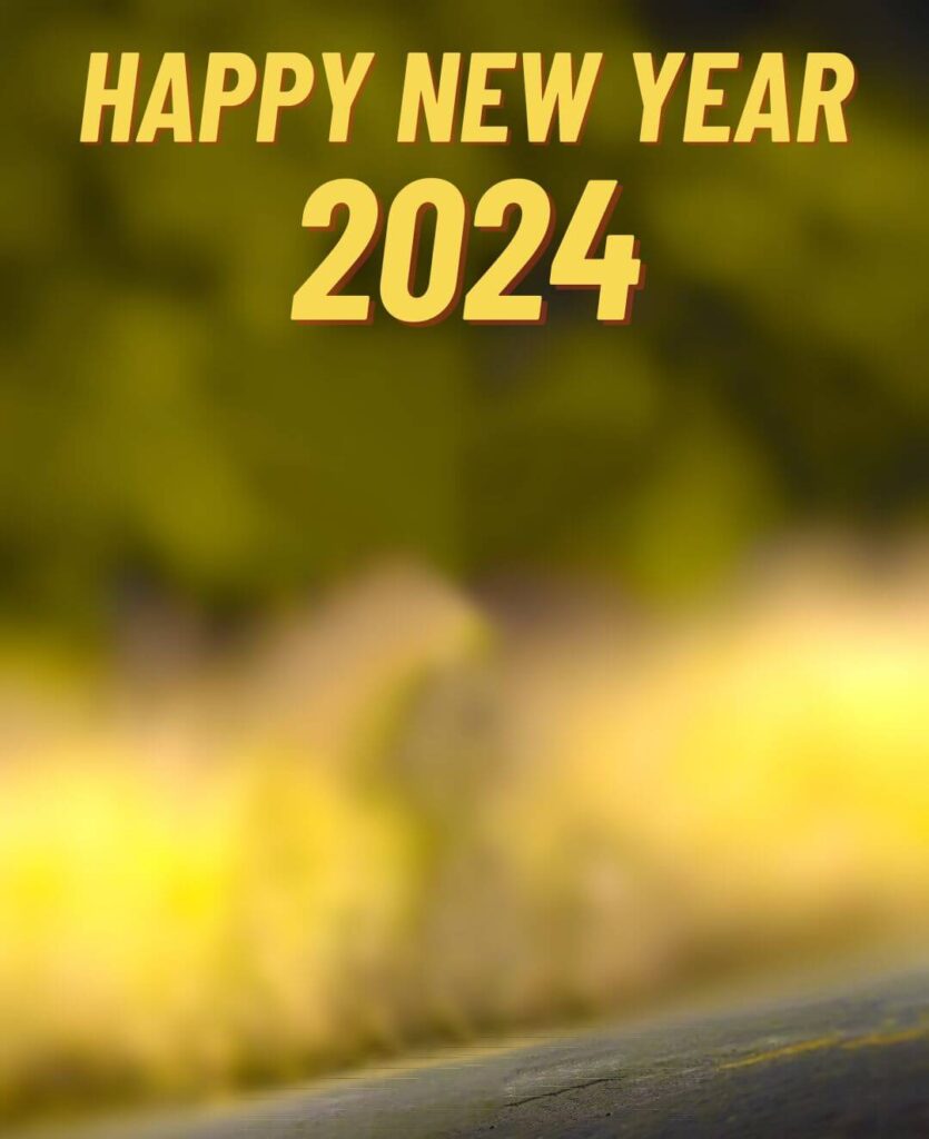 Happy New Year 2024 Editing Wallpaper Background Images