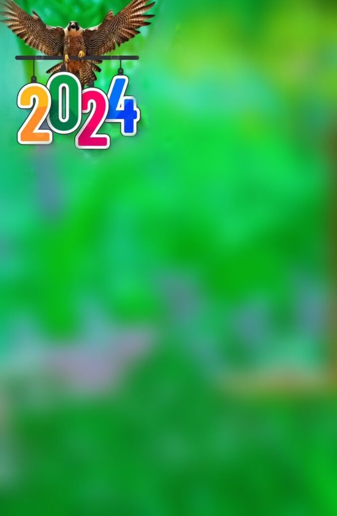 happy new year background wallpaper 2024