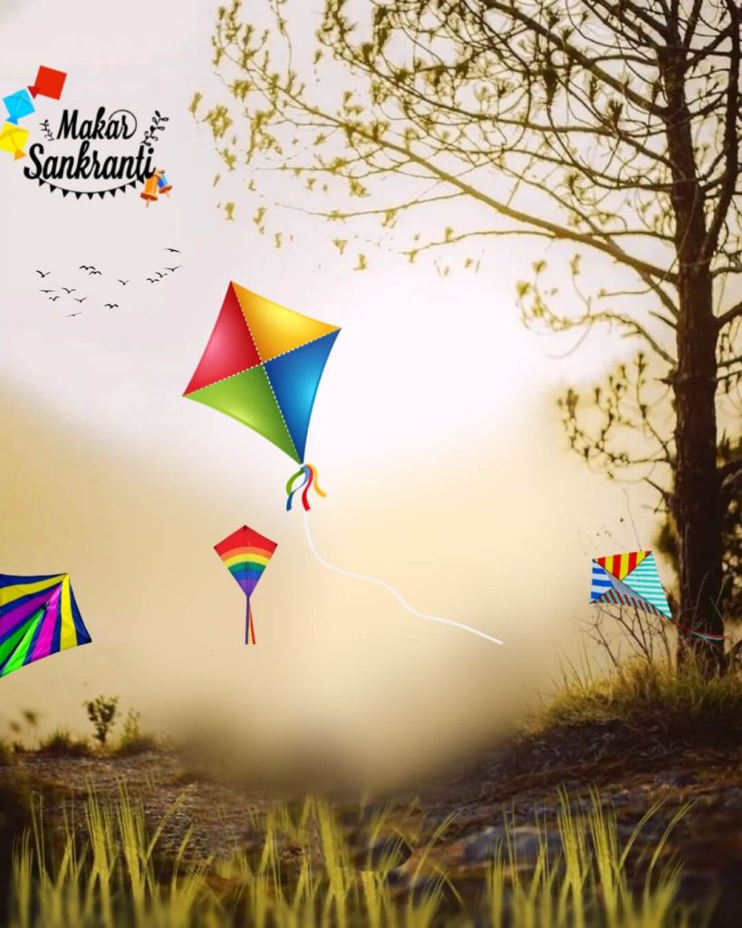 Download CB Makar Sankranti Background For Editing