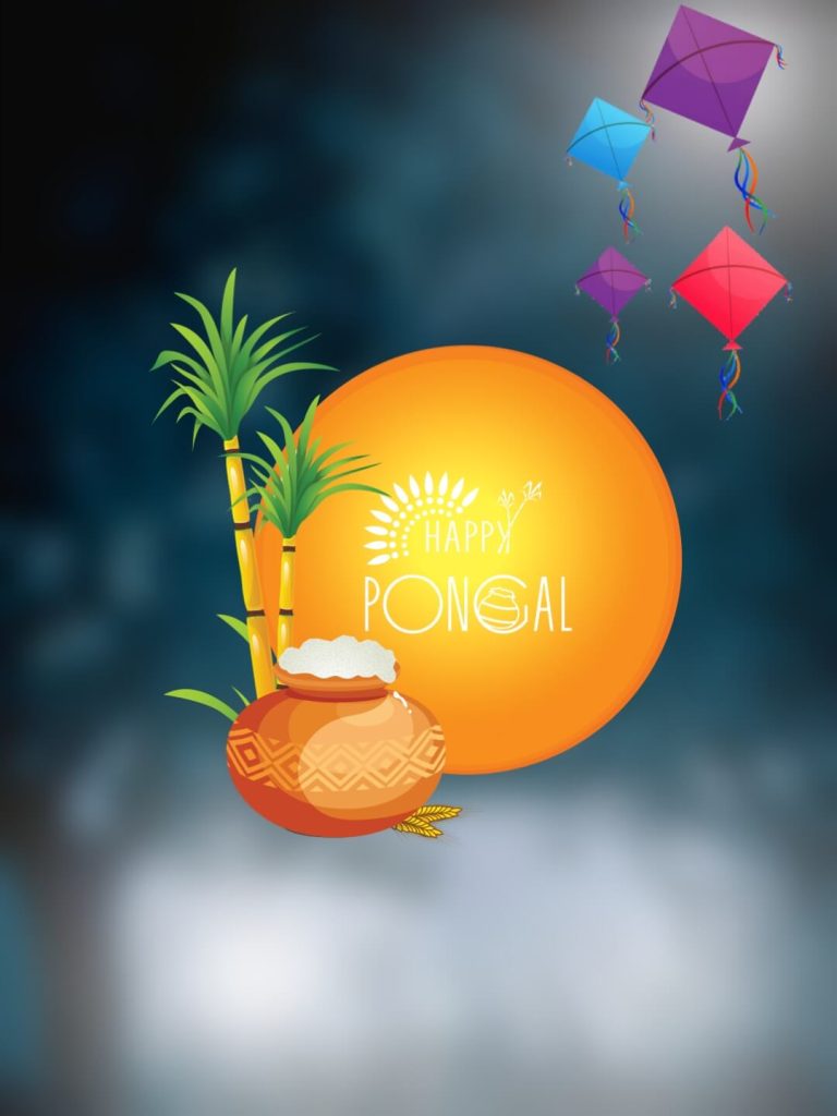 pongal background images full hd