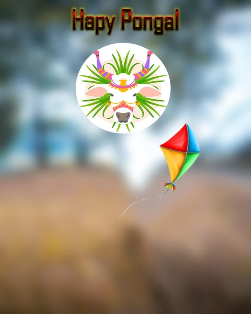 pongal makar sankranti editing background