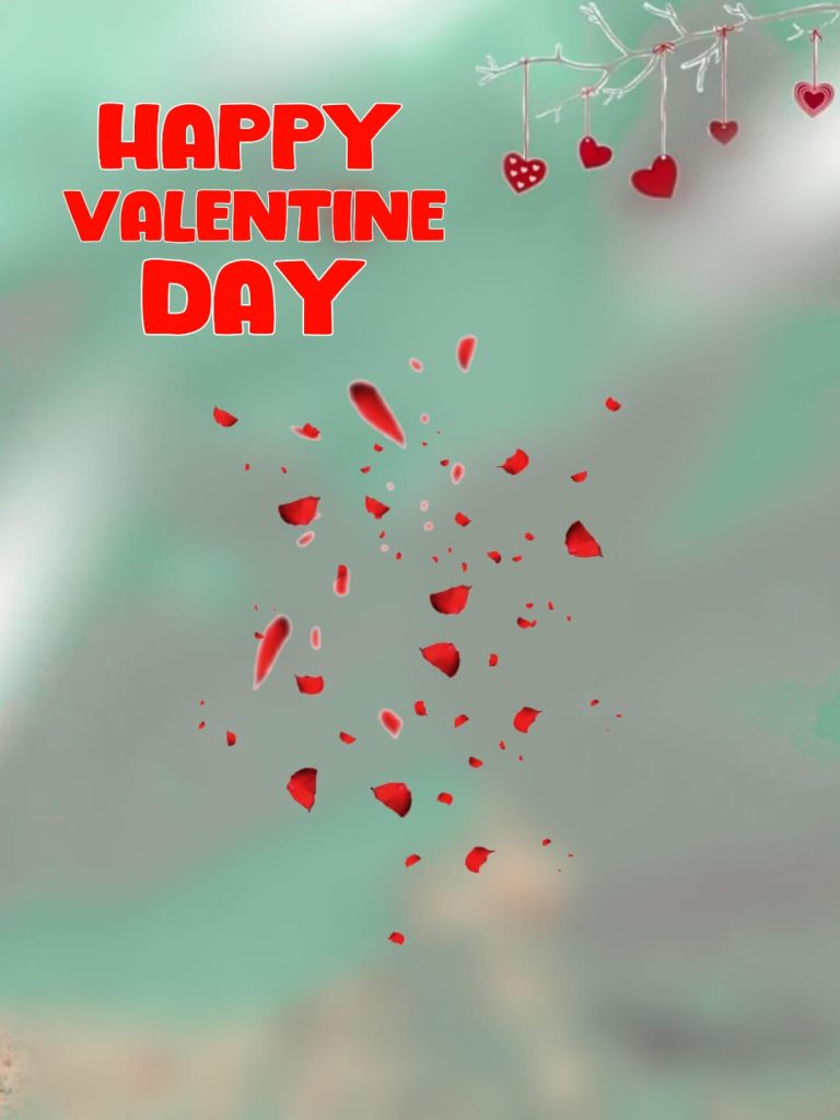 Snapseed Valentine Day Background for editing