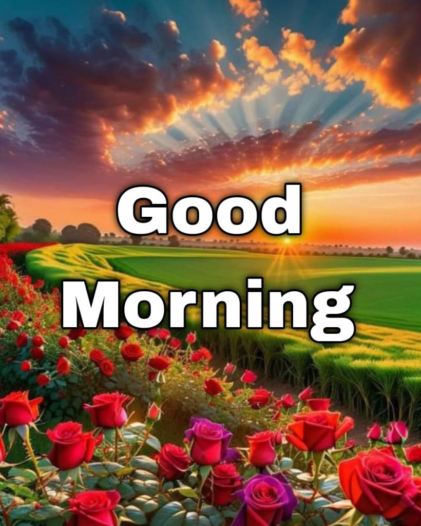 good morning flower images free download for whatsapp