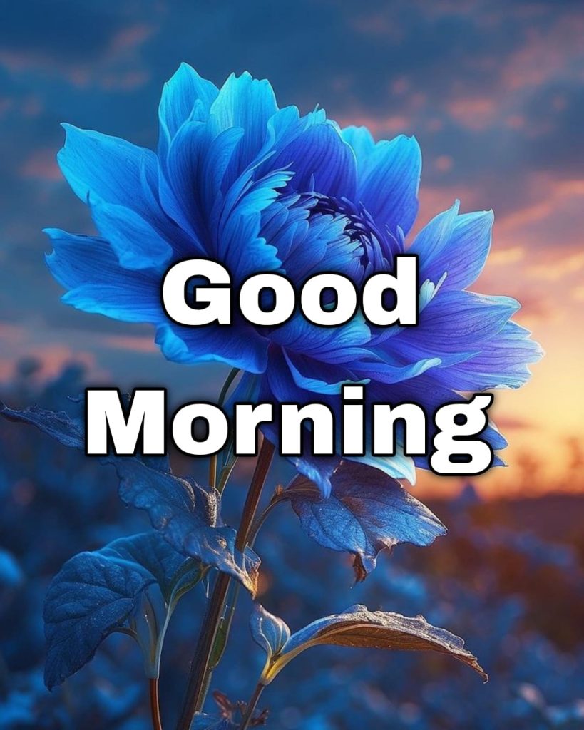 good morning hd images download for whatsapp