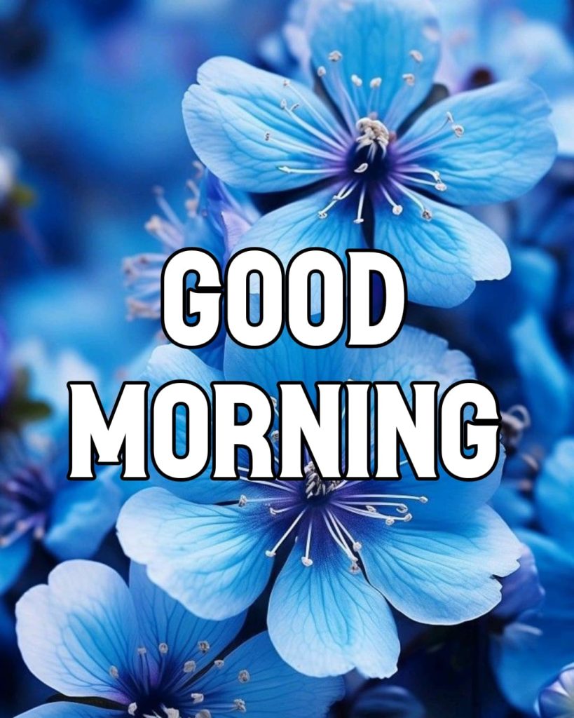 good morning wishes images for whatsapp