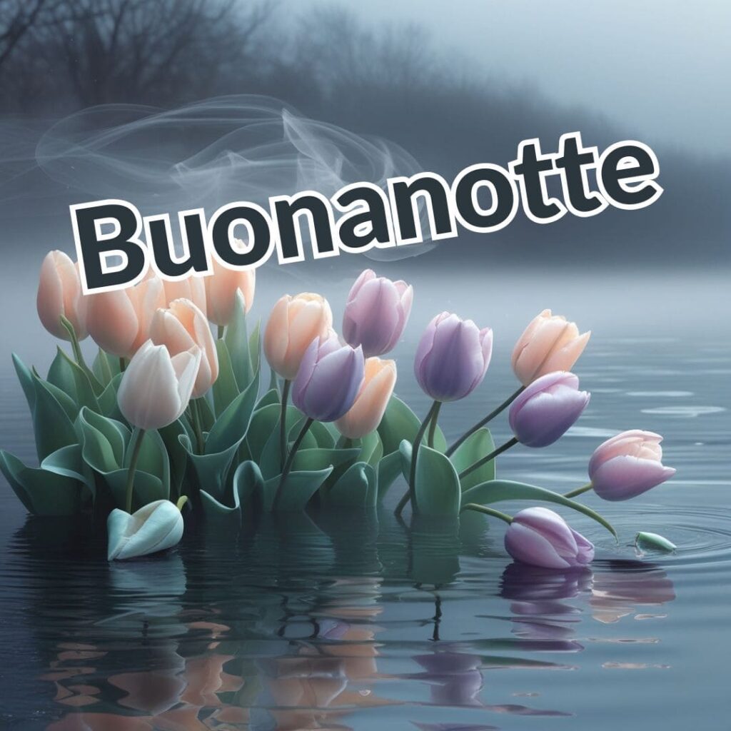 Buonanotte Immagini Nuove E Bellissime