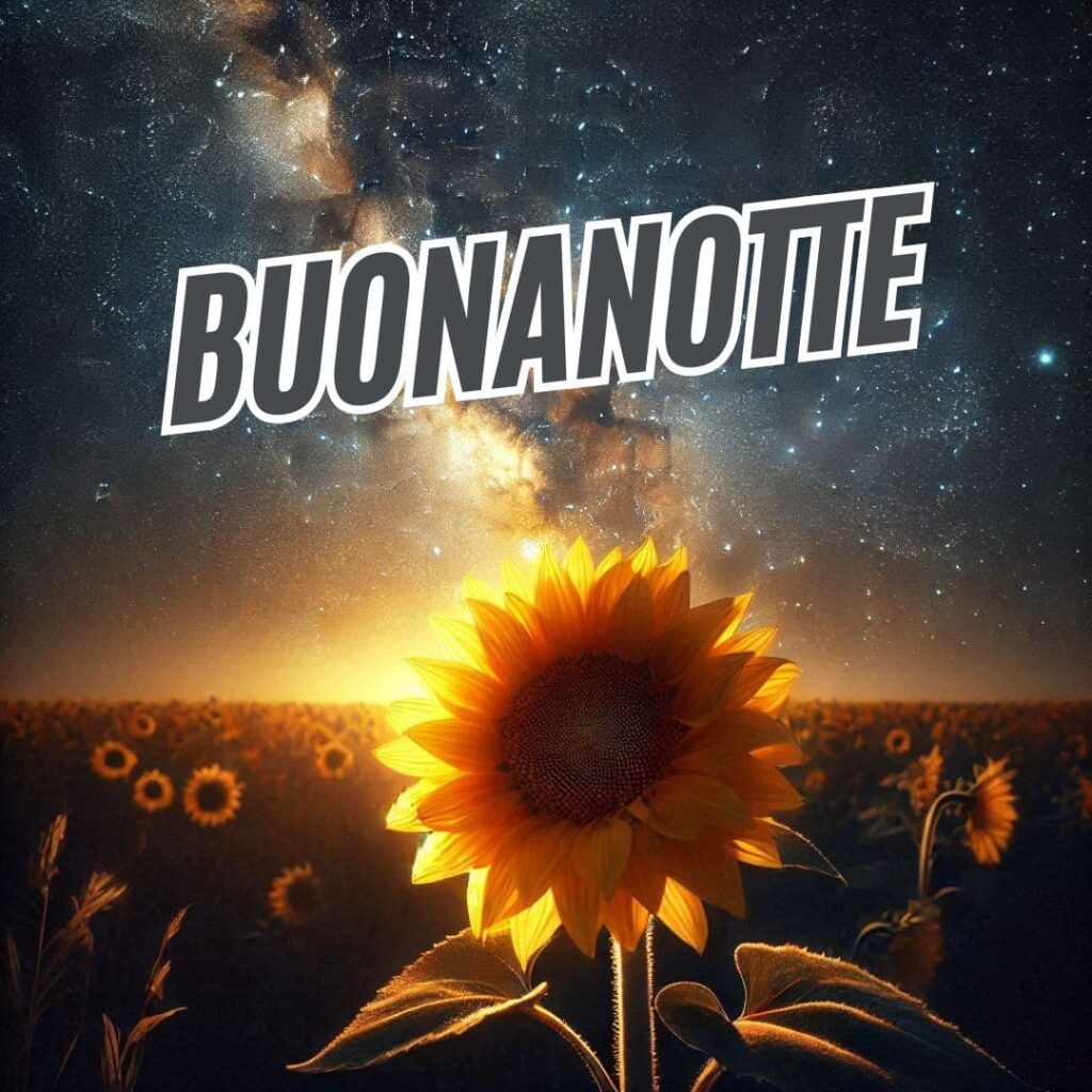 Buonanotte da condividere