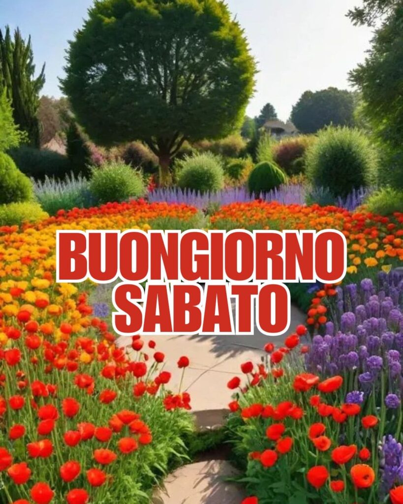 Buongiorno buon sabato 2024