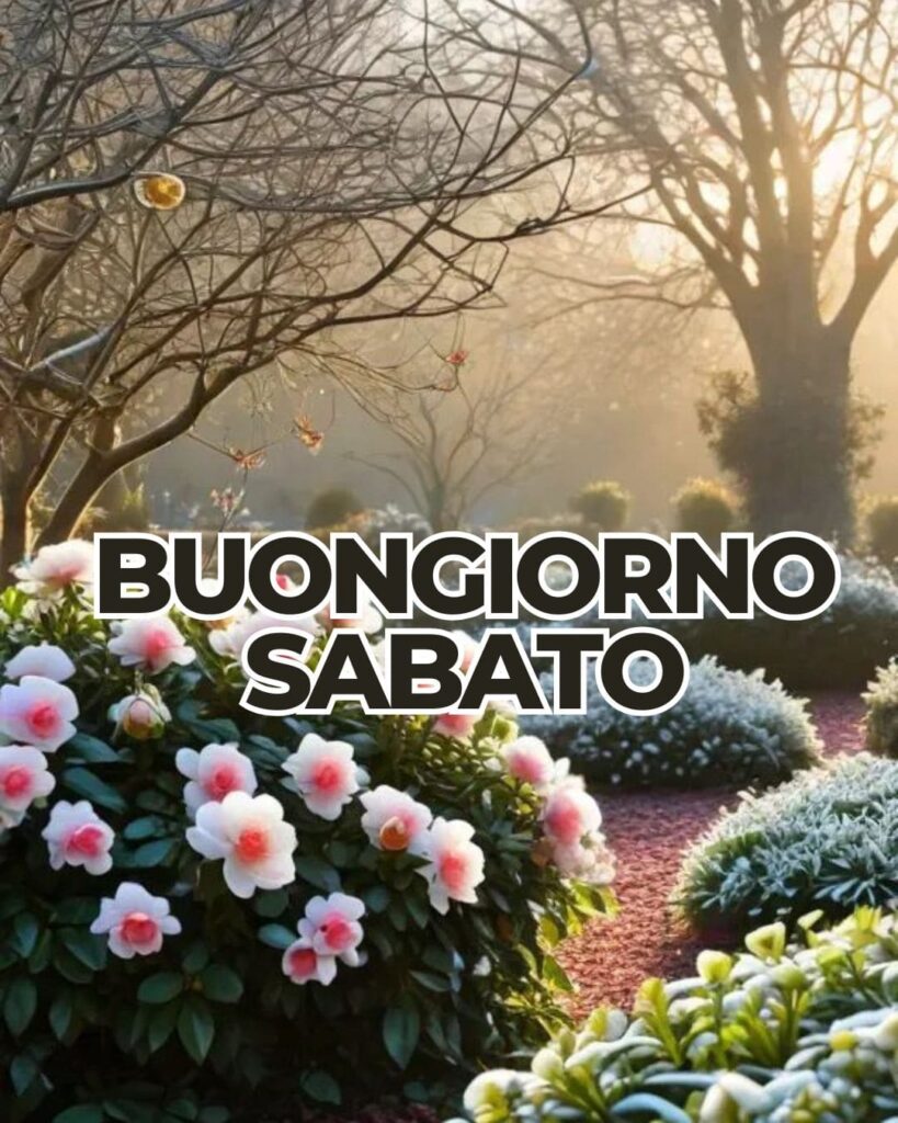 Buongiorno immagini buon sabato