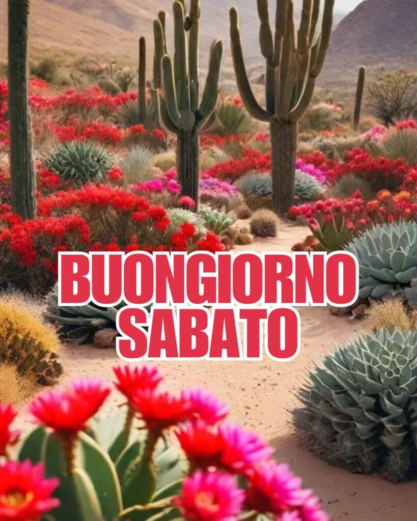 Buongiorno immagini buon sabato nuove