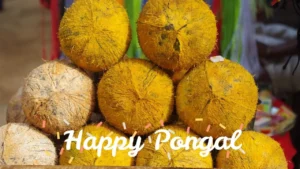 pongal banner background