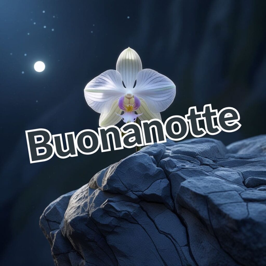 Immagini di Buonanotte