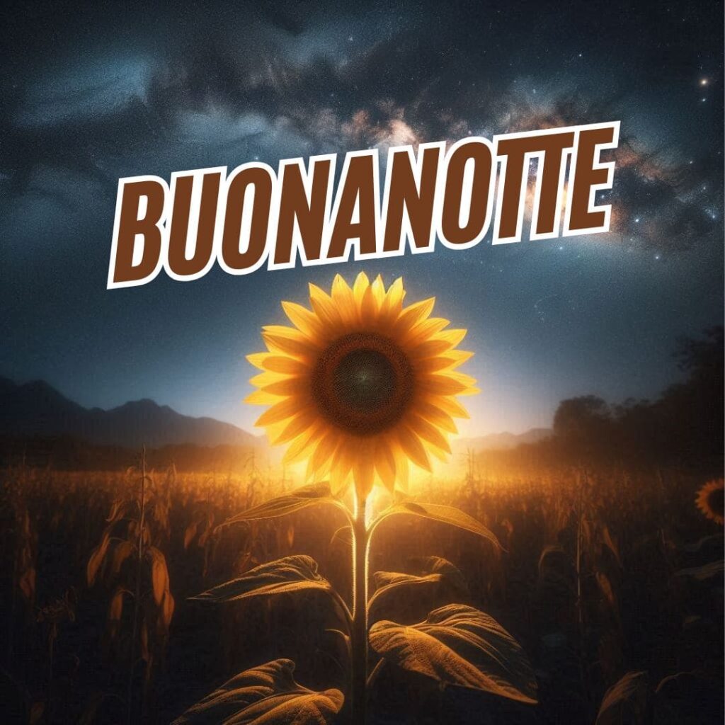 Nuovissimo buonanotte immagini recenti gratis per whatsapp