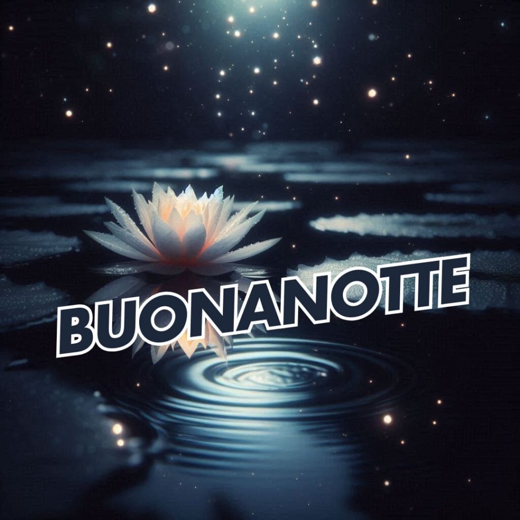 buonanotte le fate del sole