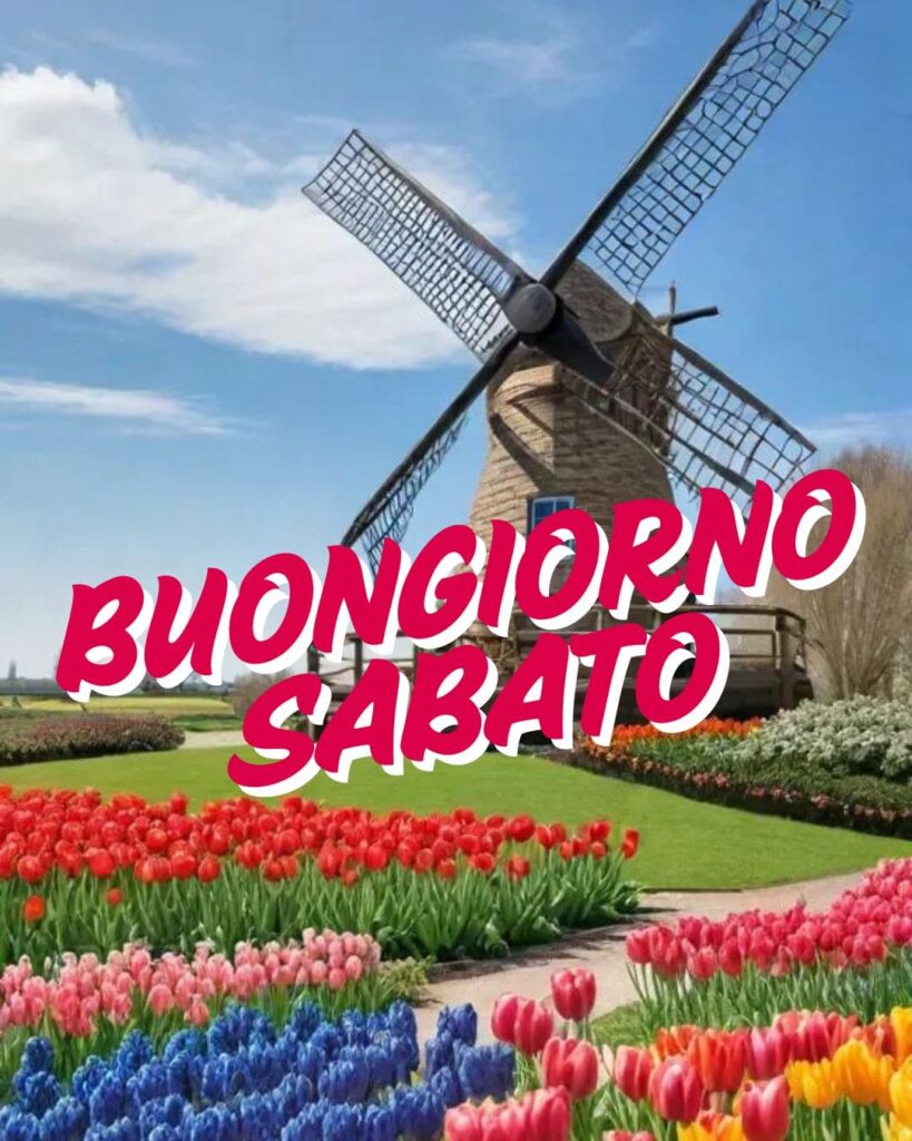 buongiorno sabato immagini nuove per whatsapp