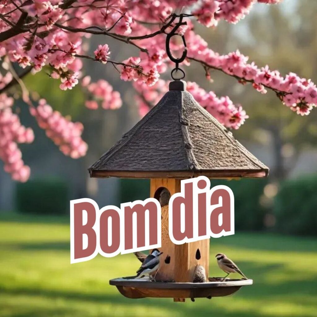 imagens de bom dia com carinho