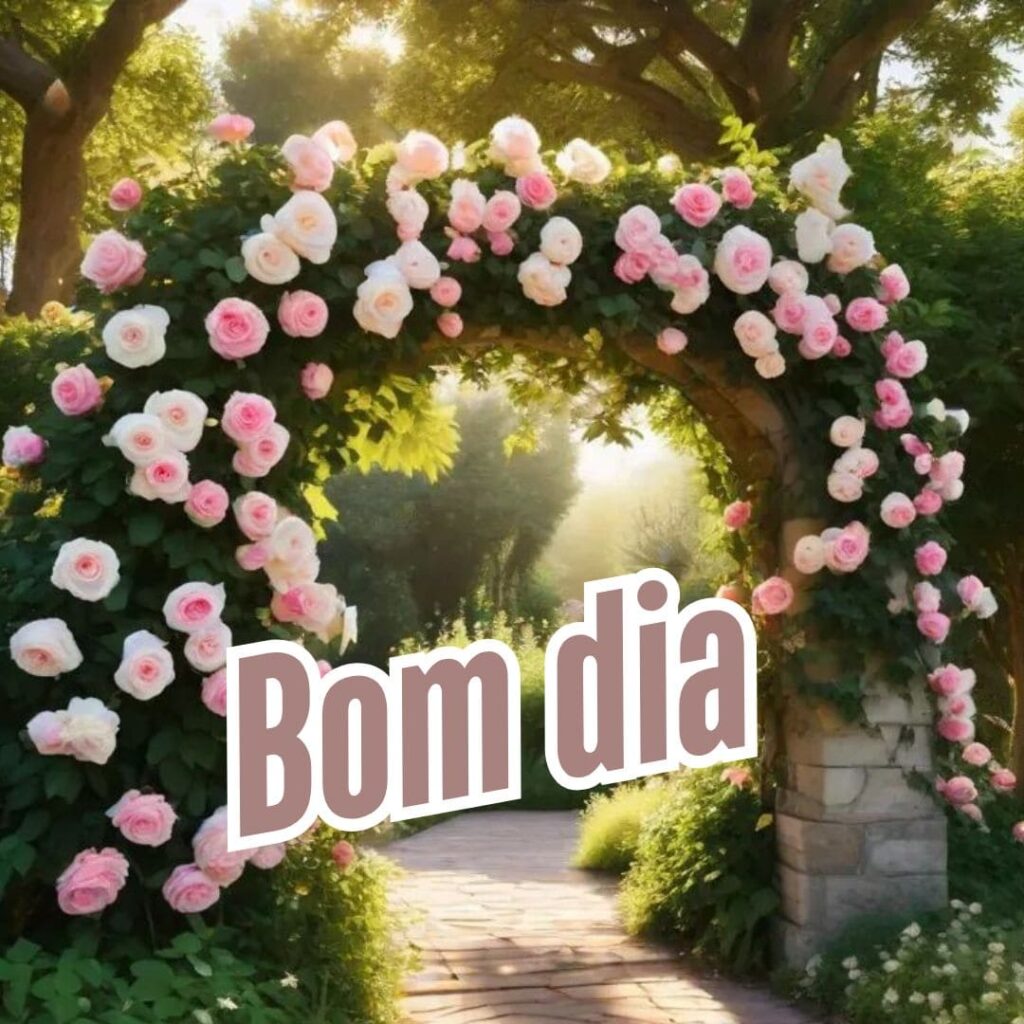 imagens de bom dia para hoje