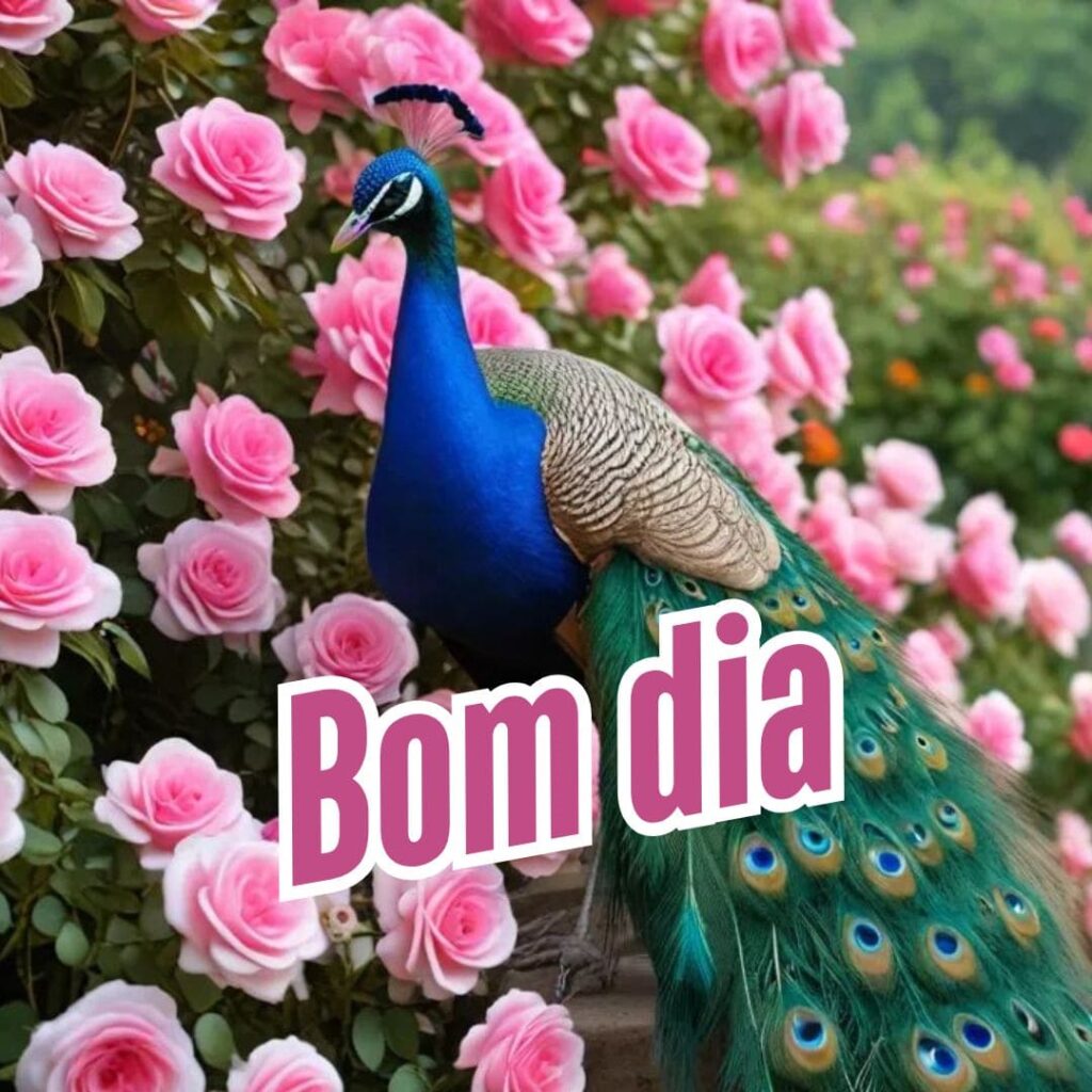 imagens de bom dia para whatsapp gratis