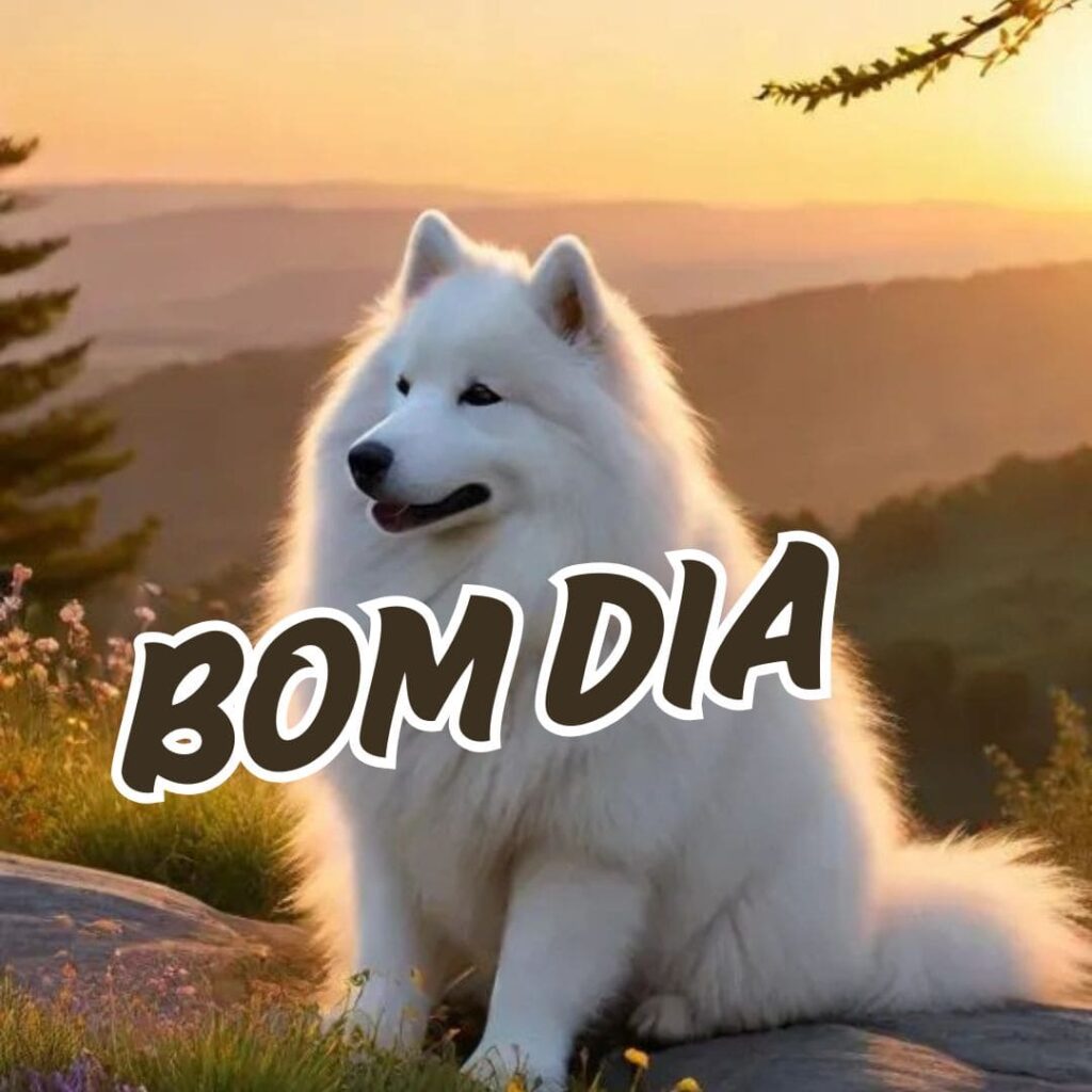 imagens mensagens de bom dia