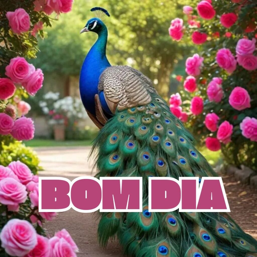 lindas imagens de bom dia