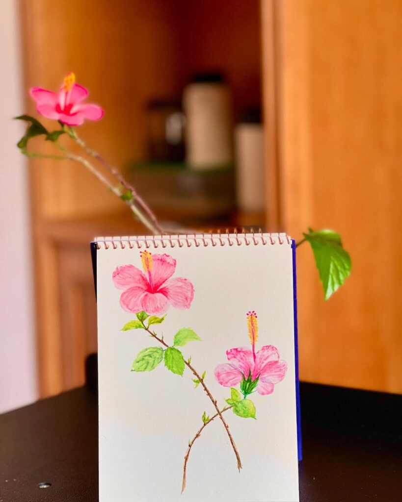 Hibiscus Background Wallpaper HD Download Backgroundlelos